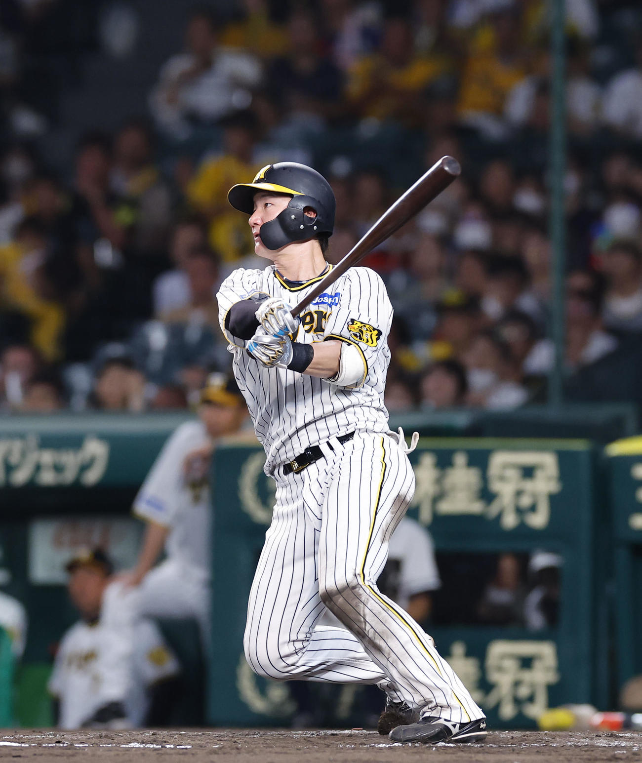 阪神対中日　5回裏阪神1死一塁、渡辺諒が中越えに2点本塁打を放つ（撮影・藤尾明華）