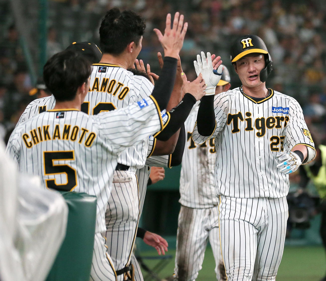 阪神対中日　5回裏阪神1死一塁、渡辺諒（右）は中越え2点本塁打を放ちナインの祝福を受ける（撮影・上山淳一）
