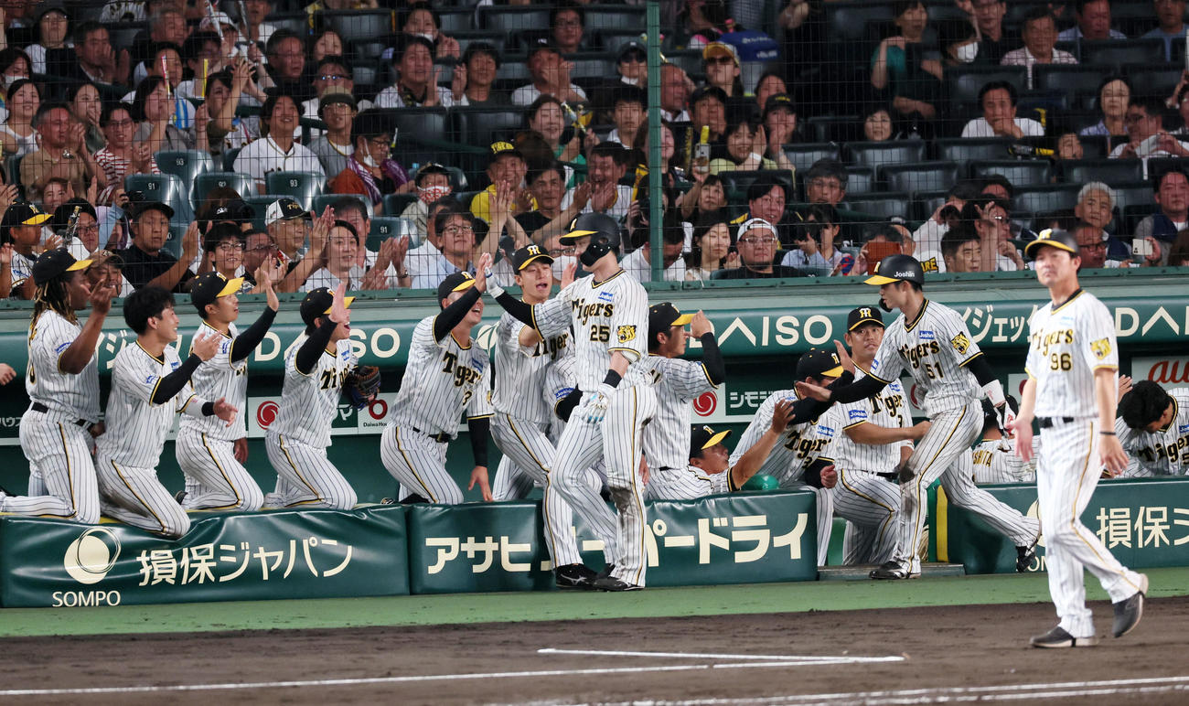 阪神対中日　5回裏阪神1死一塁、渡辺諒は中越え2点本塁打を放ちベンチのナインとタッチする（撮影・加藤哉）