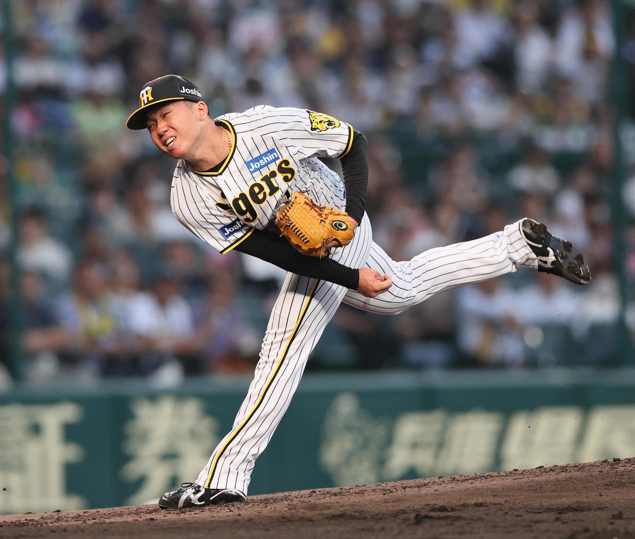阪神村上頌樹（2023年6月13日撮影）