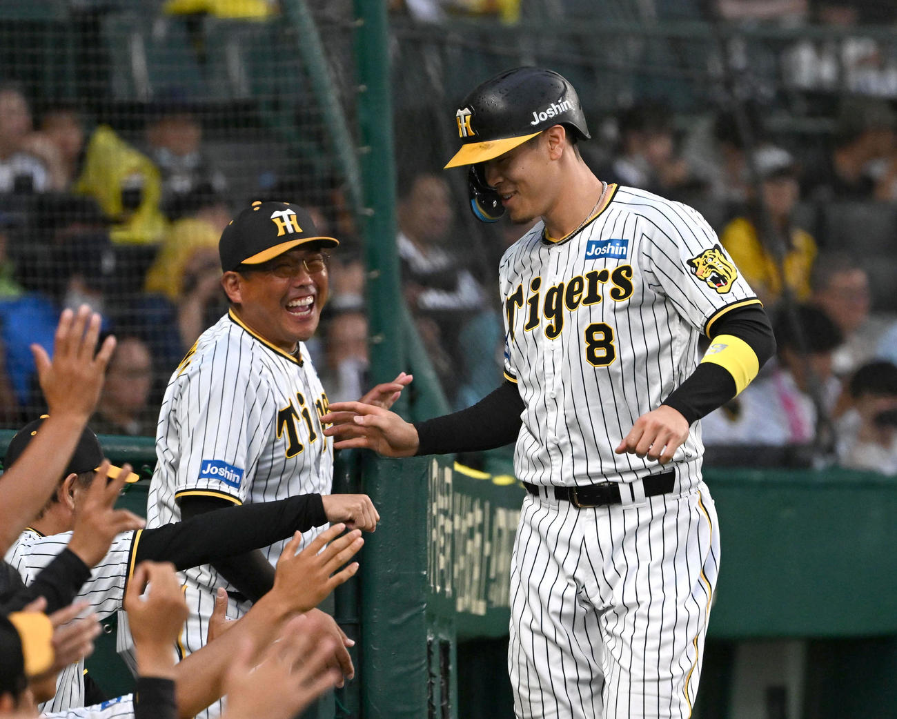 阪神対オリックス　4回裏阪神裏1死三塁、ナインに迎えられる佐藤輝（撮影・石井愛子）