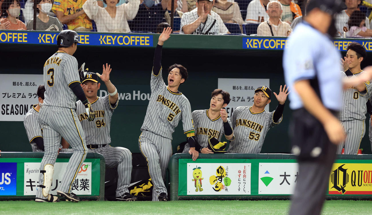 巨人対阪神　4回表阪神2死、大山（手前左）が左中間ソロ本塁打を放ち、笑顔で迎える近本（中央）ら阪神ベンチ（撮影・浅見桂子）