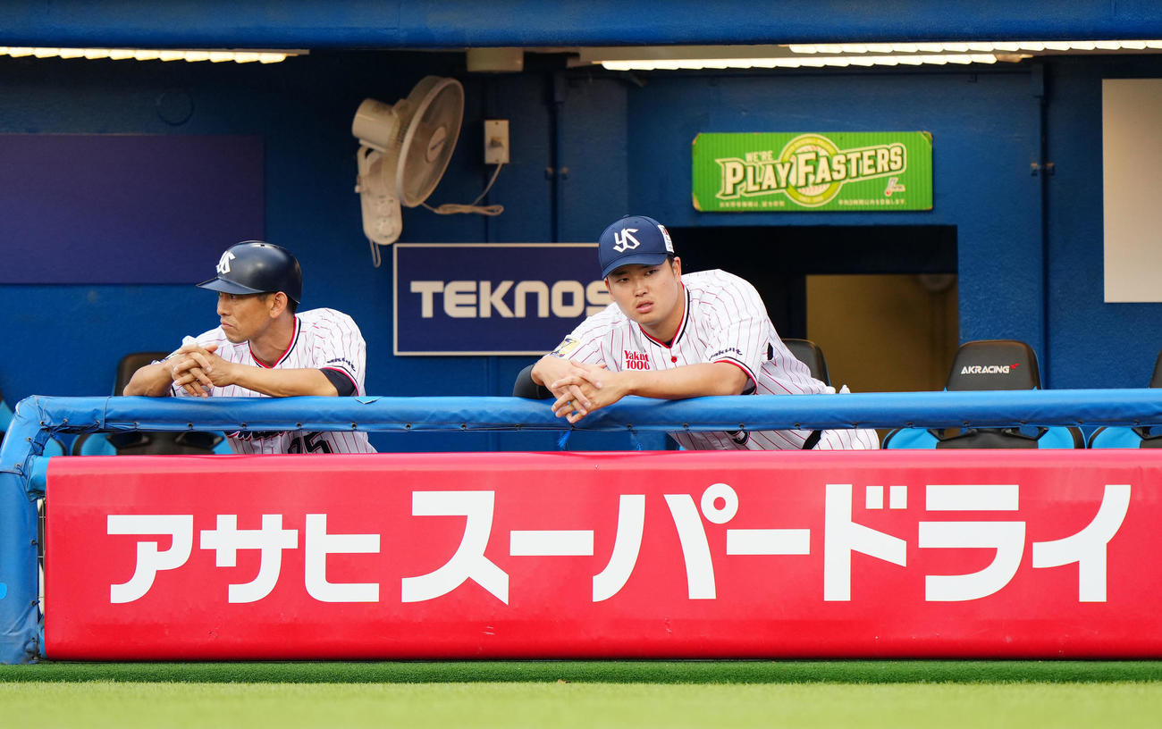 ヤクルト対広島　試合前、ウオーミングアップを切り上げ、ベンチから見つめるヤクルト村上右）（撮影・江口和貴）