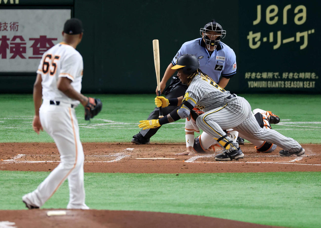巨人対阪神　4回表阪神1死満塁、ミエセスは押し出し死球を受け倒れる。投手メンデス（撮影・浅見桂子）