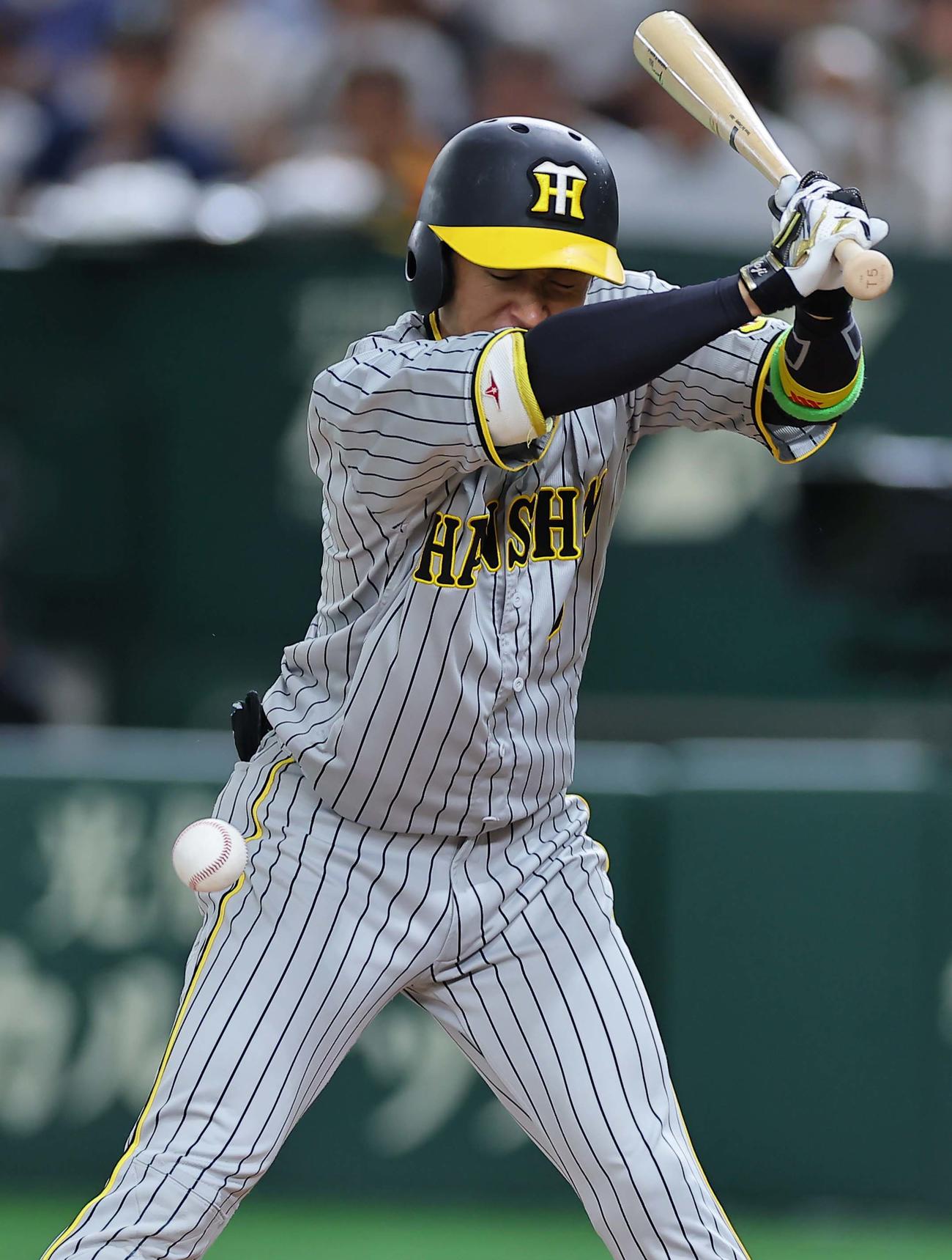 巨人対阪神　7回表阪神1死一、三塁、近本は死球を受ける（撮影・上田博志）