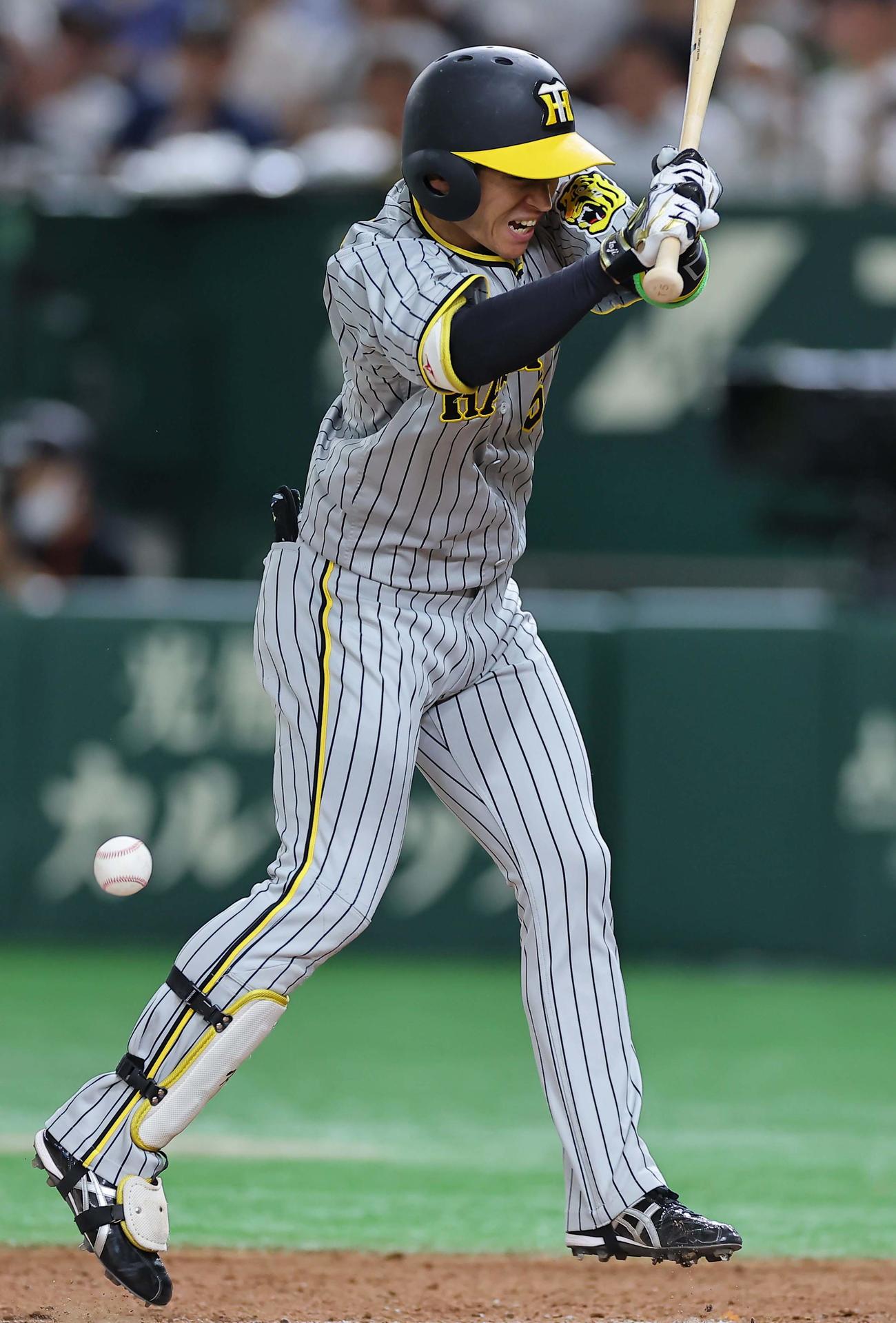 巨人対阪神　7回表阪神1死一、三塁、近本は死球を受ける（撮影・上田博志）