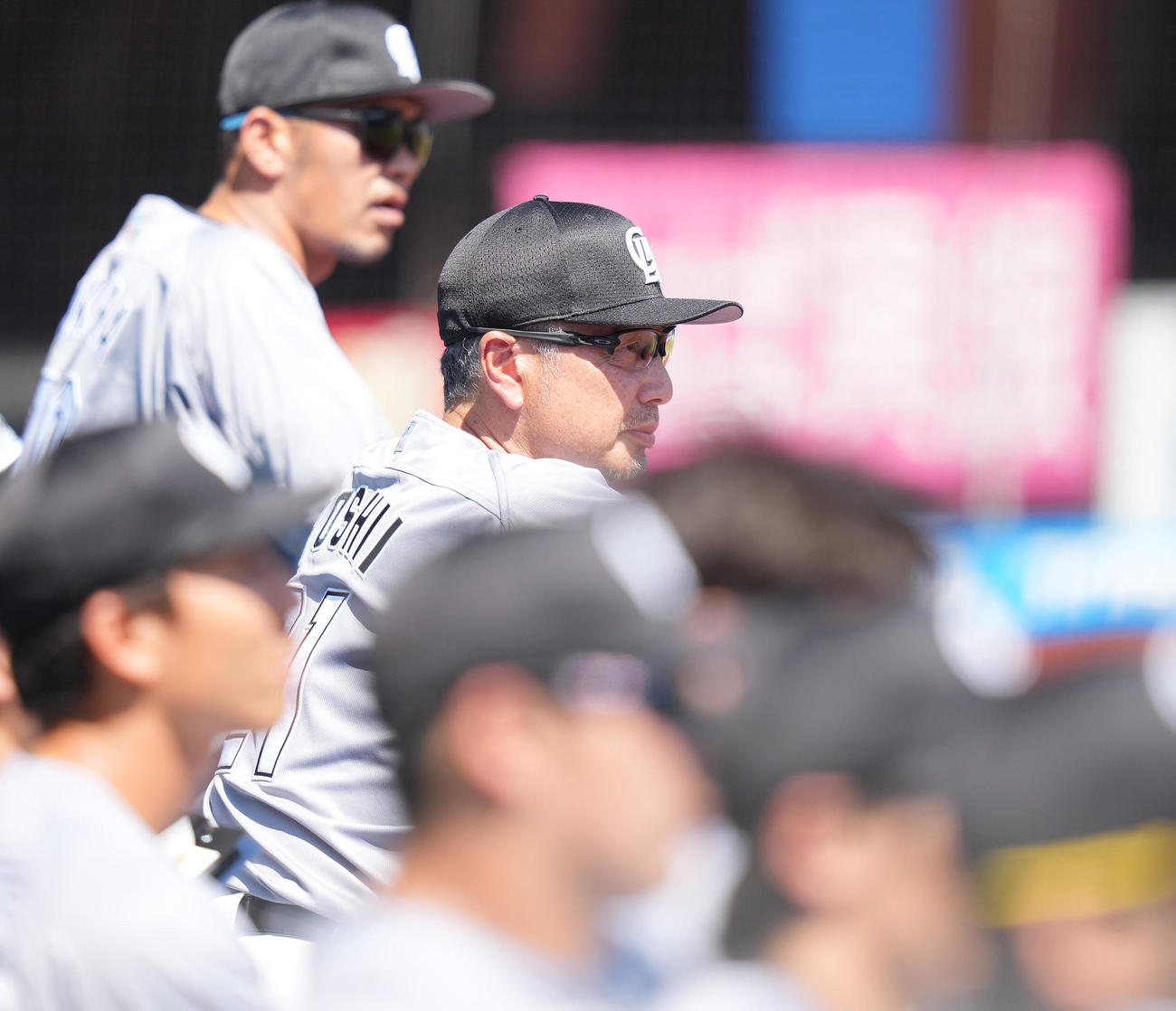 ロッテ対楽天　ベンチから試合を見るロッテ吉井監督（撮影・鈴木みどり）