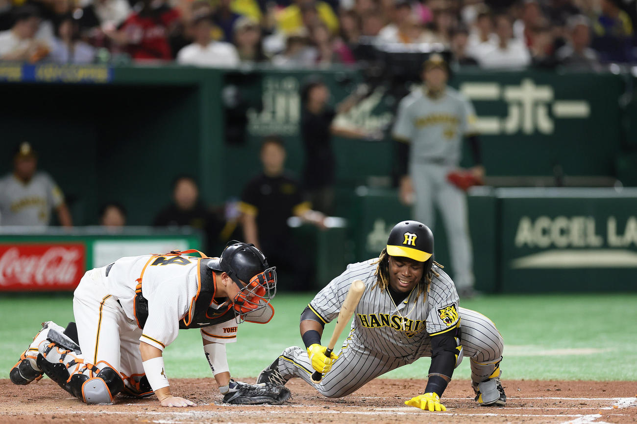 巨人対阪神　4回表阪神1死満塁、ミエセス（右）は押し出しの死球を受け倒れ込む。捕手大城（撮影・足立雅史）