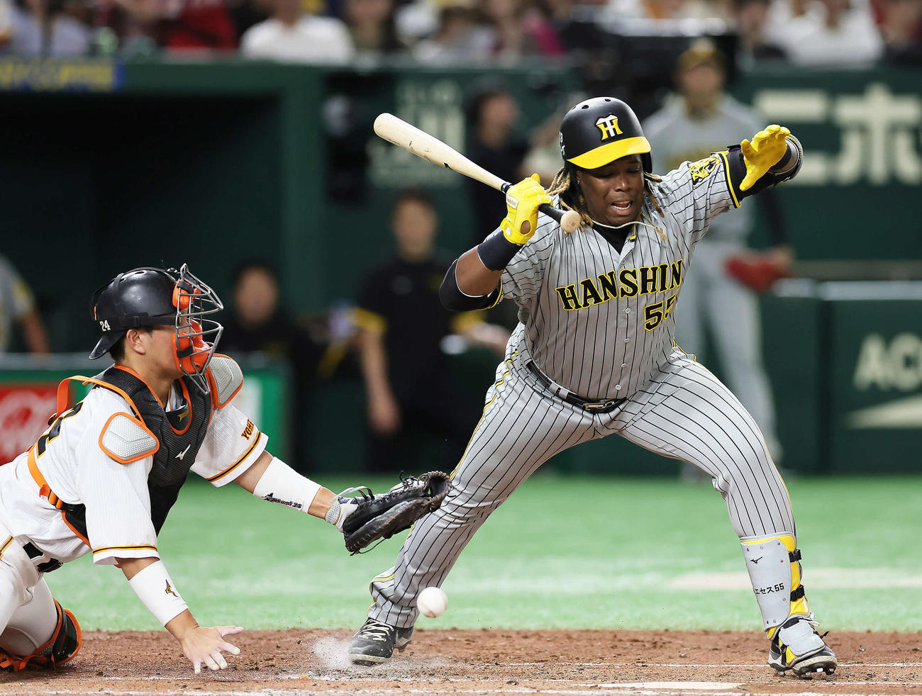 巨人対阪神　4回表阪神1死満塁、ミエセス（右）は押し出しの死球を受ける。捕手大城（撮影・足立雅史）