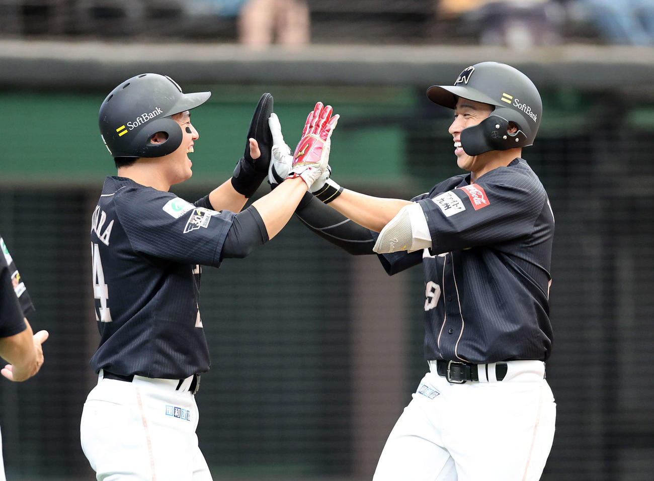 西武対ソフトバンク　2回表ソフトバンク1死一塁、野村勇（右）は左中間2点本塁打を放ち栗原とタッチして喜ぶ（撮影・鈴木正人）