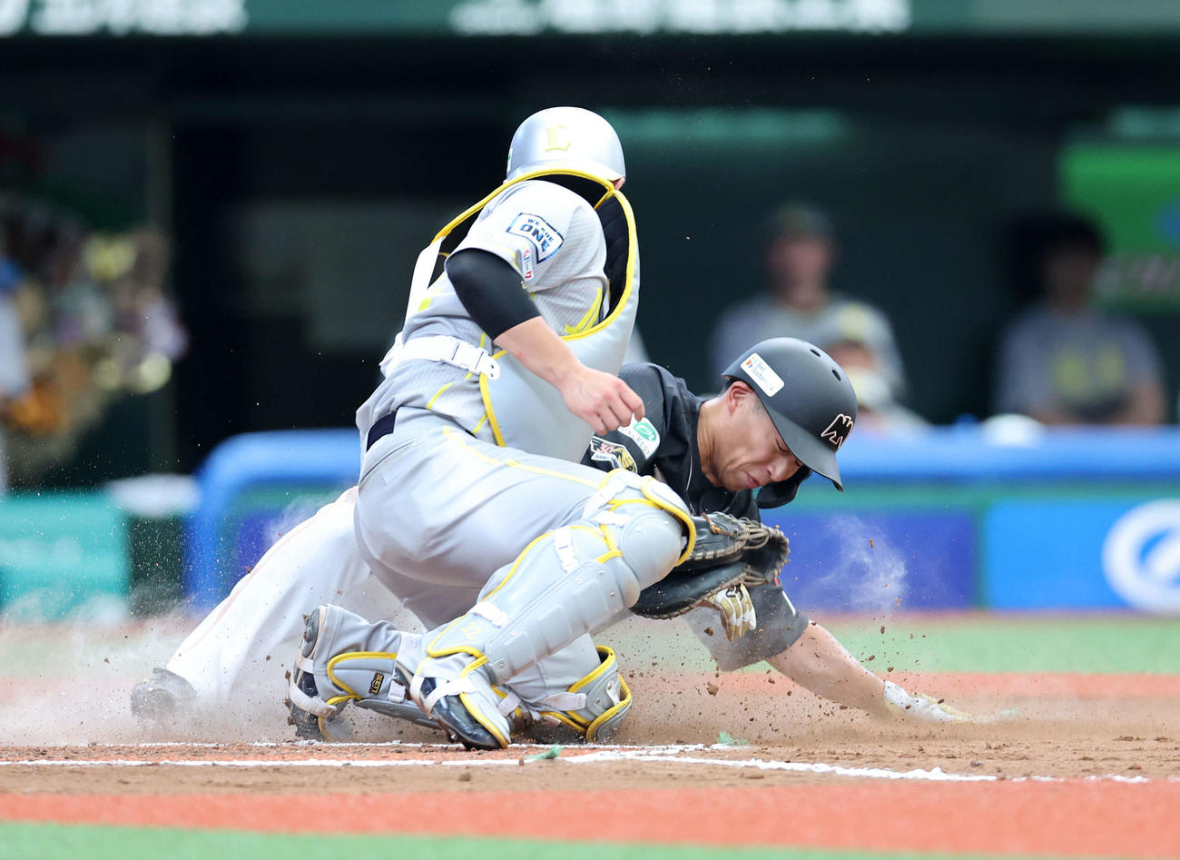 西武対ソフトバンク　6回表ソフトバンク1死一、三塁、今宮のスクイズで三塁走者の野村勇が生還、捕手は古賀（撮影・鈴木正人）