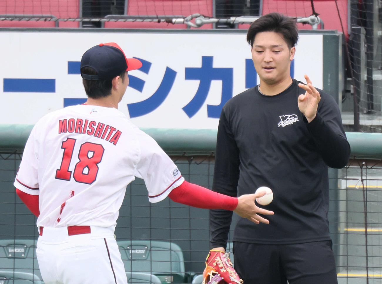 広島投手指名練習　キャッチボールをした床田（右）と森下（撮影・加藤孝規）