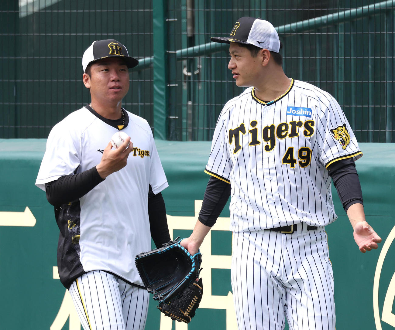 キャッチボールを終えて話し合う阪神村上（左）と大竹（撮影・白石智彦）