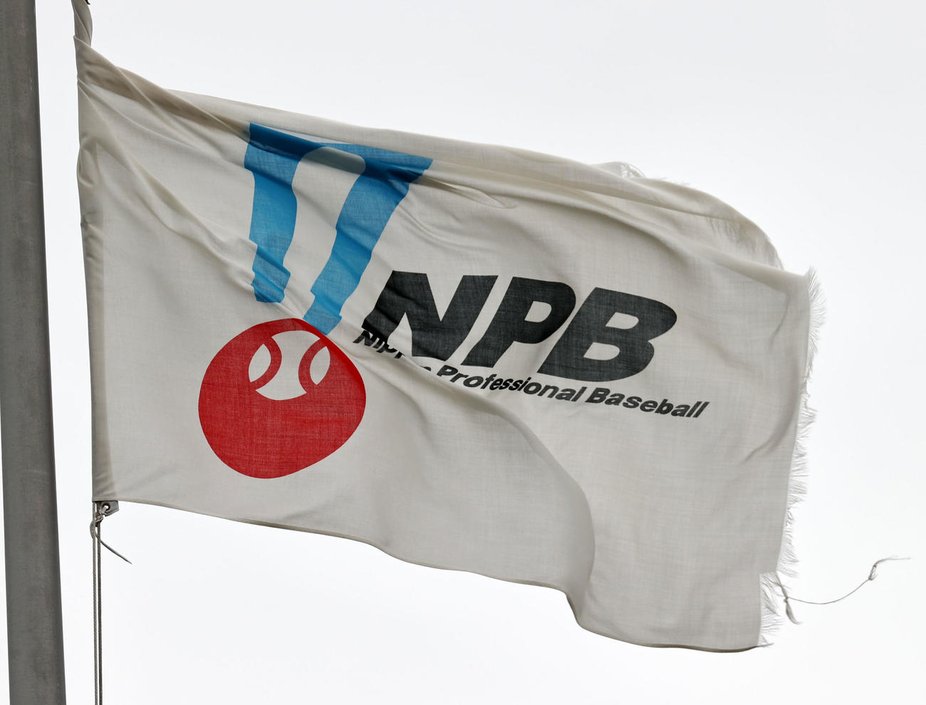 NPB旗（2022年4月撮影）
