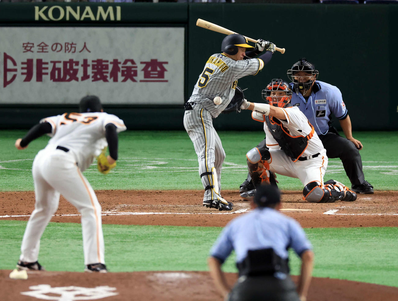 2日、近本は死球を受ける。投手高梨