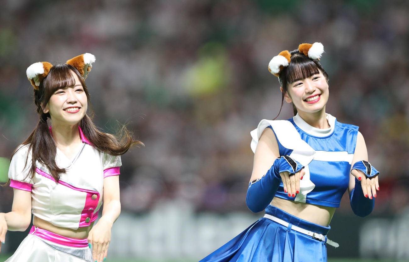 ソフトバンク対日本ハム　3回表終了で連夜のつねダンス（撮影・梅根麻紀）