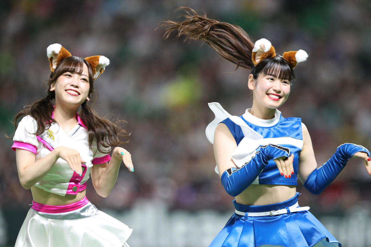 ソフトバンク対日本ハム　3回表終了で連夜のつねダンス（撮影・梅根麻紀）
