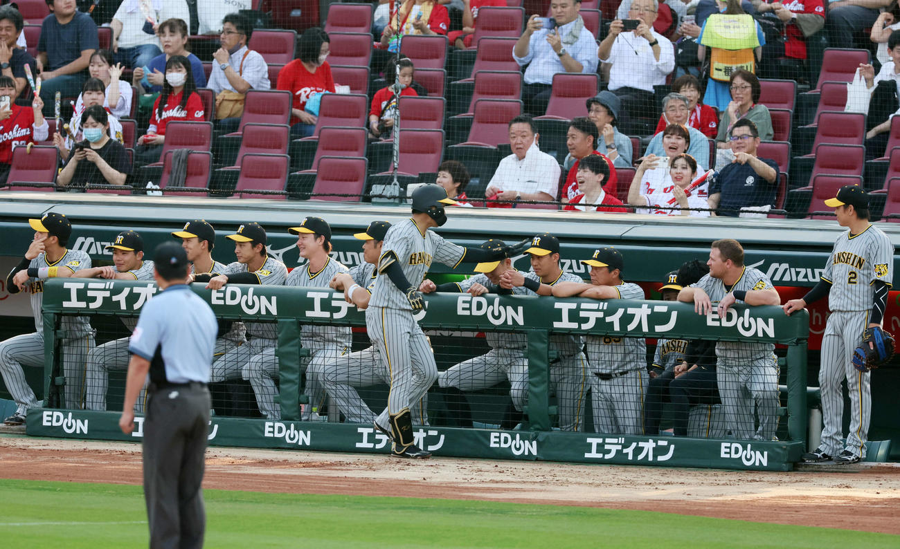広島対阪神　1回表阪神無死、右越えに先頭打者本塁打を放った島田（手前）をサイレントトリートメントで迎えるナイン（撮影・加藤哉）