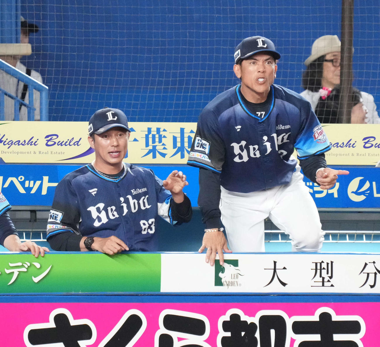 ロッテ対西武　9回表西武2死二塁、松井監督（右）はベンチから身を乗り出して球審に選手交代を告げる（撮影・小沢裕）