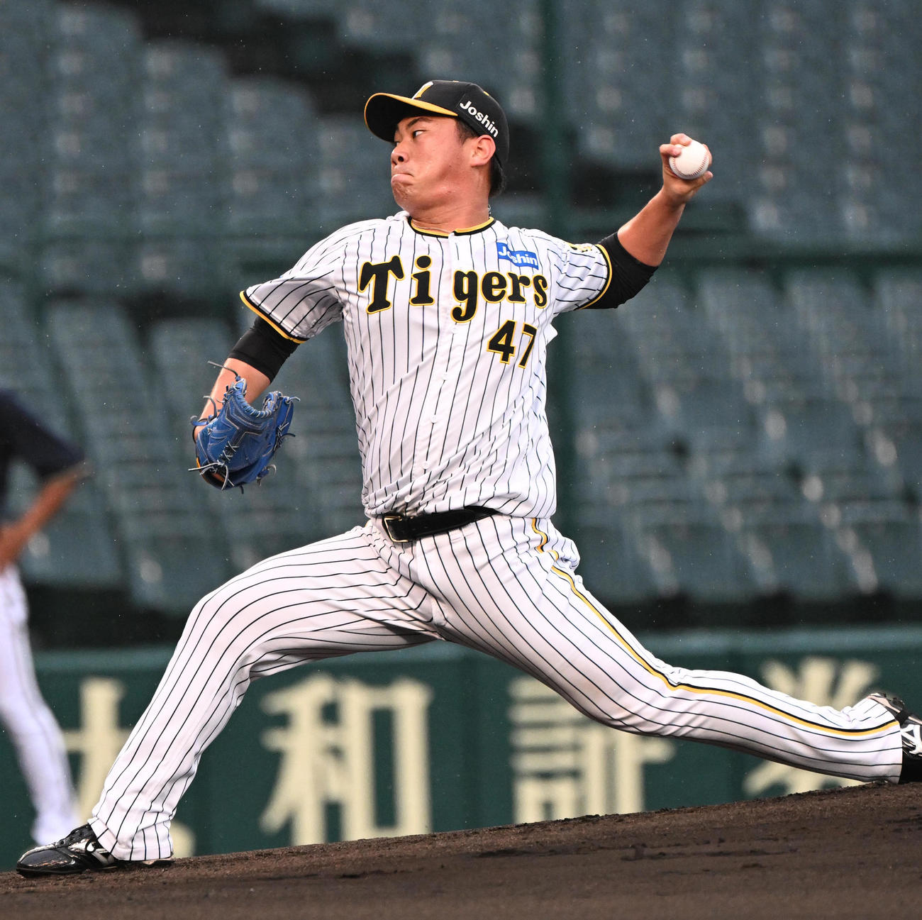 阪神桐敷拓馬（2023年6月30日撮影）