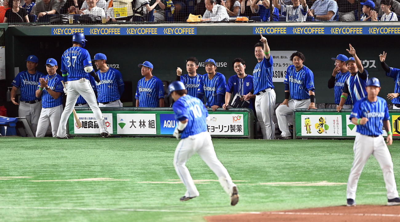 巨人対DeNA 7回表DeNA1死、戸柱の勝ち越しのソロ本塁打に盛り上がるベンチ（撮影・たえ見朱実）