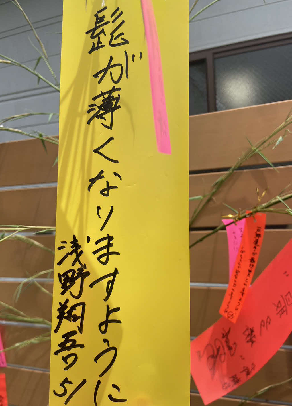 ジャイアンツ球場の七夕イベントの短冊に「ひげが薄くなりますように」と書き込んだ巨人浅野（撮影・小早川宗一郎）