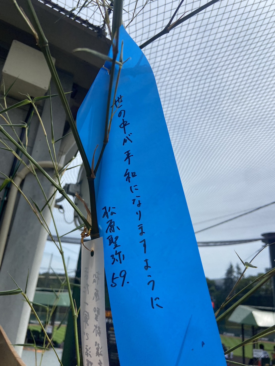 ジャイアンツ球場の七夕イベントの短冊に「世の中が平和になりますように」と書き込んだ巨人松原（撮影・小早川宗一郎）