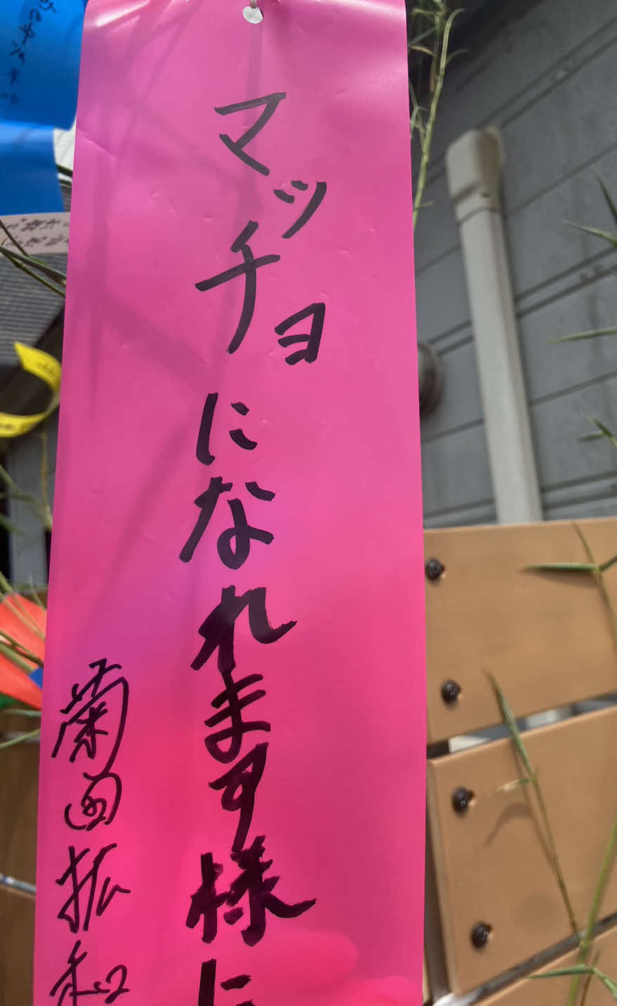 ジャイアンツ球場の七夕イベントの短冊に「マッチョになれますように」と書き込んだ巨人菊田（撮影・小早川宗一郎）