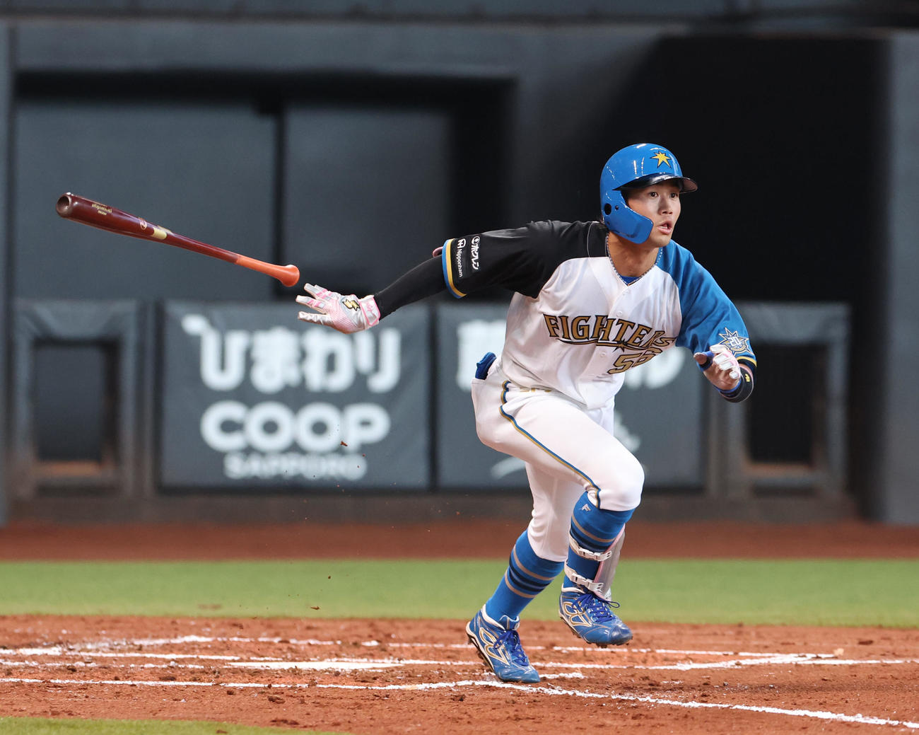 日本ハム対ロッテ　2回裏日本ハム2死二塁、細川は適時二塁打を放つ（撮影・佐藤翔太）