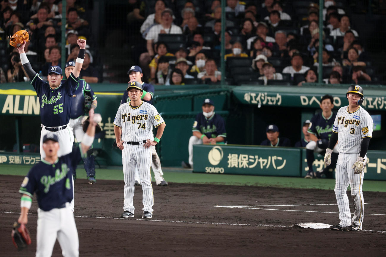 阪神対ヤクルト　6回裏阪神無死二、三塁、大山（右）の三塁タッチアップで判定がリクエストとなり、映像を見てガッツポーズする村上（撮影・加藤哉）