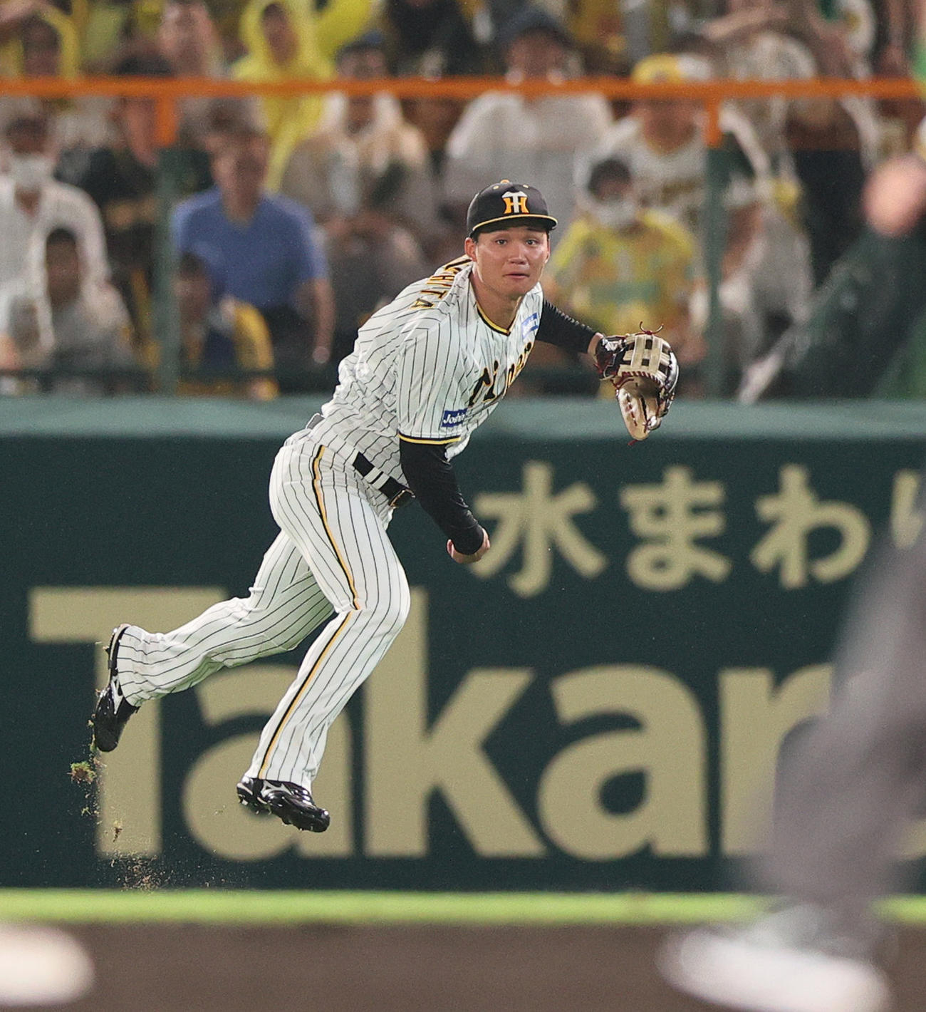 阪神対ヤクルト　8回表ヤクルト無死一塁、森下は村上の右前打を三塁へ送球し、三進を狙った丸山を刺す（撮影・上山淳一）
