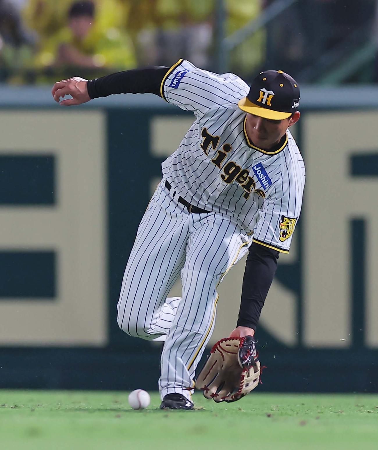 阪神対ヤクルト　8回表ヤクルト無死一塁、森下は村上の右前打を三塁へ送球し丸山を刺す（撮影・上田博志）