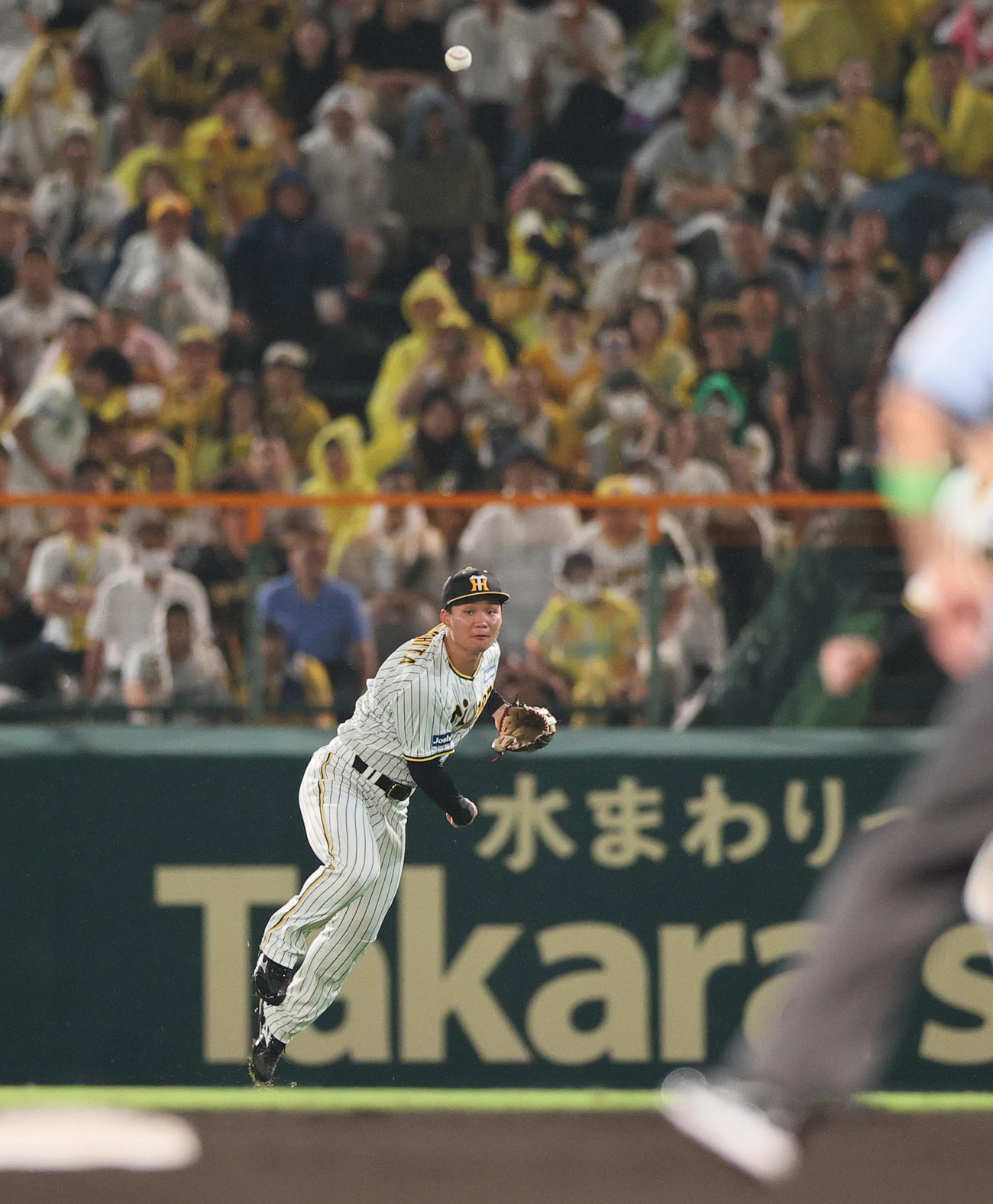 阪神対ヤクルト　8回表ヤクルト無死一塁、右翼手森下は村上の右前打で一走丸山和郁を三塁で刺す（撮影・上山淳一）