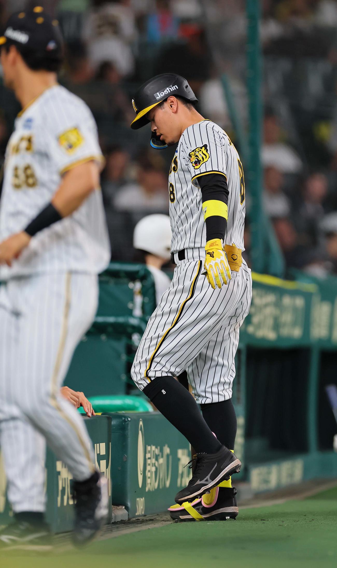 阪神対ヤクルト　8回裏阪神2死二塁、佐藤輝は右飛に倒れる（撮影・上田博志）