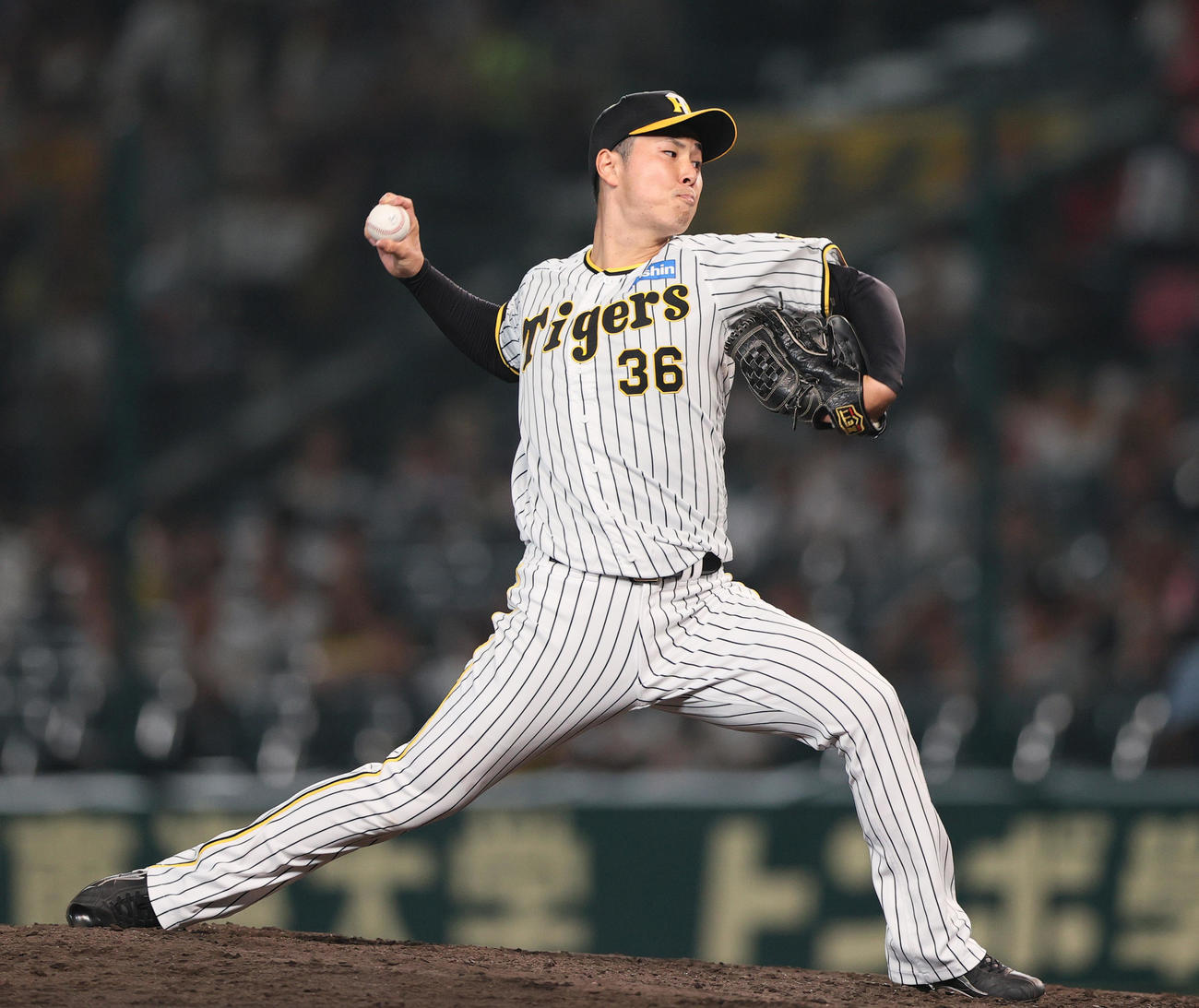 阪神対ヤクルト　9回、阪神4番手で登板の浜地（撮影・上山淳一）