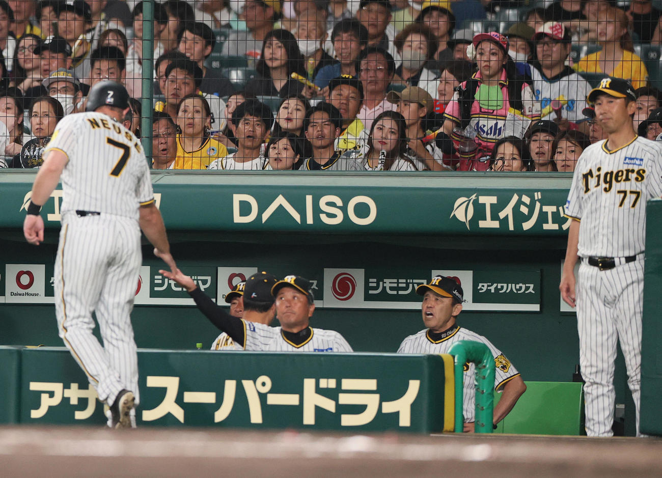 阪神対ヤクルト　6回裏阪神1死二、三塁、ミエセスの中飛で二走大山が三塁タッチアップするがアウトとなりベンチでさけぶ岡田監督（右から2人目）（撮影・上山淳一）