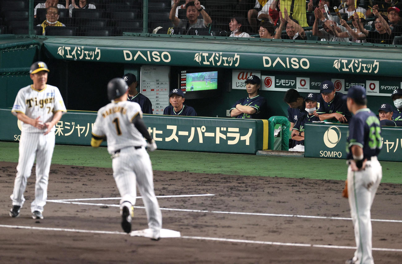 阪神対ヤクルト　8回裏阪神無死、森下（左から2人目）に左中間越えソロ本塁打を浴び厳しい顔をみせる高津監督（左から5人目）（撮影・上山淳一）