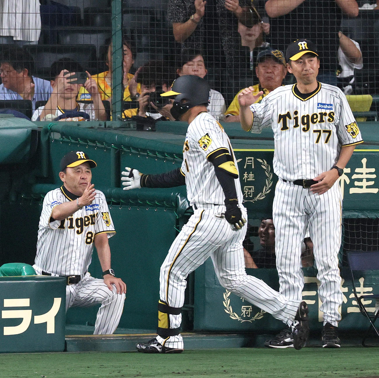 阪神対ヤクルト　8回裏阪神無死、森下（手前）は左中間越えソロ本塁打を放ち、岡田監督（左）らから迎えられる（撮影・上山淳一）
