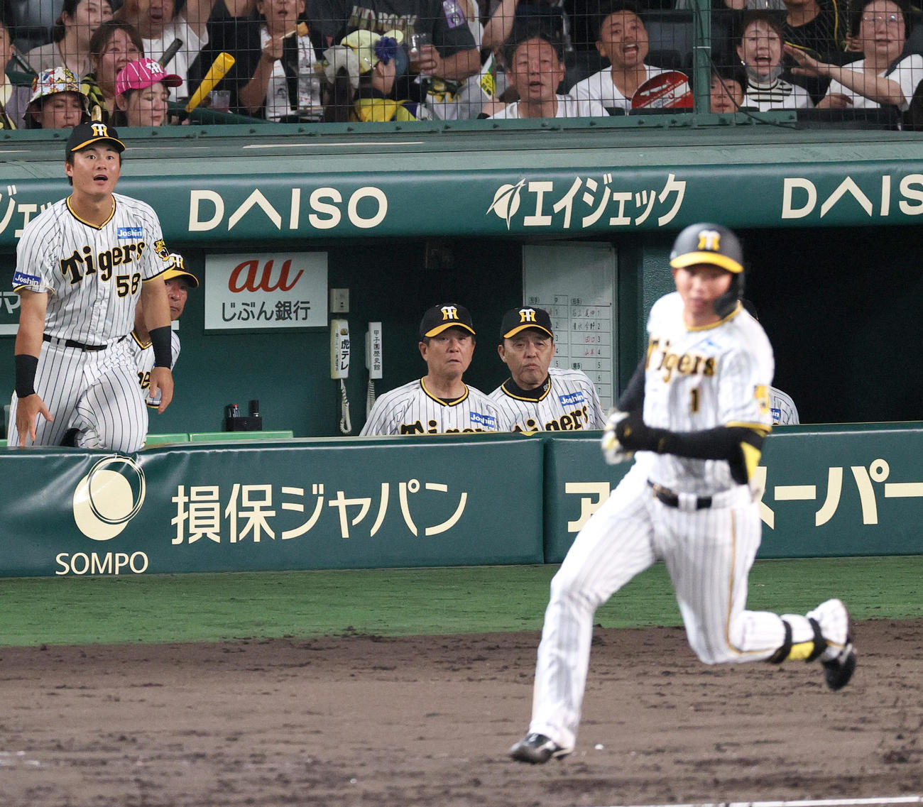 阪神対ヤクルト　8回裏阪神無死、森下（手前）の先制左中間越えソロ本塁打の打球を確認する岡田監督（左から4人目）らベンチ（撮影・上山淳一）