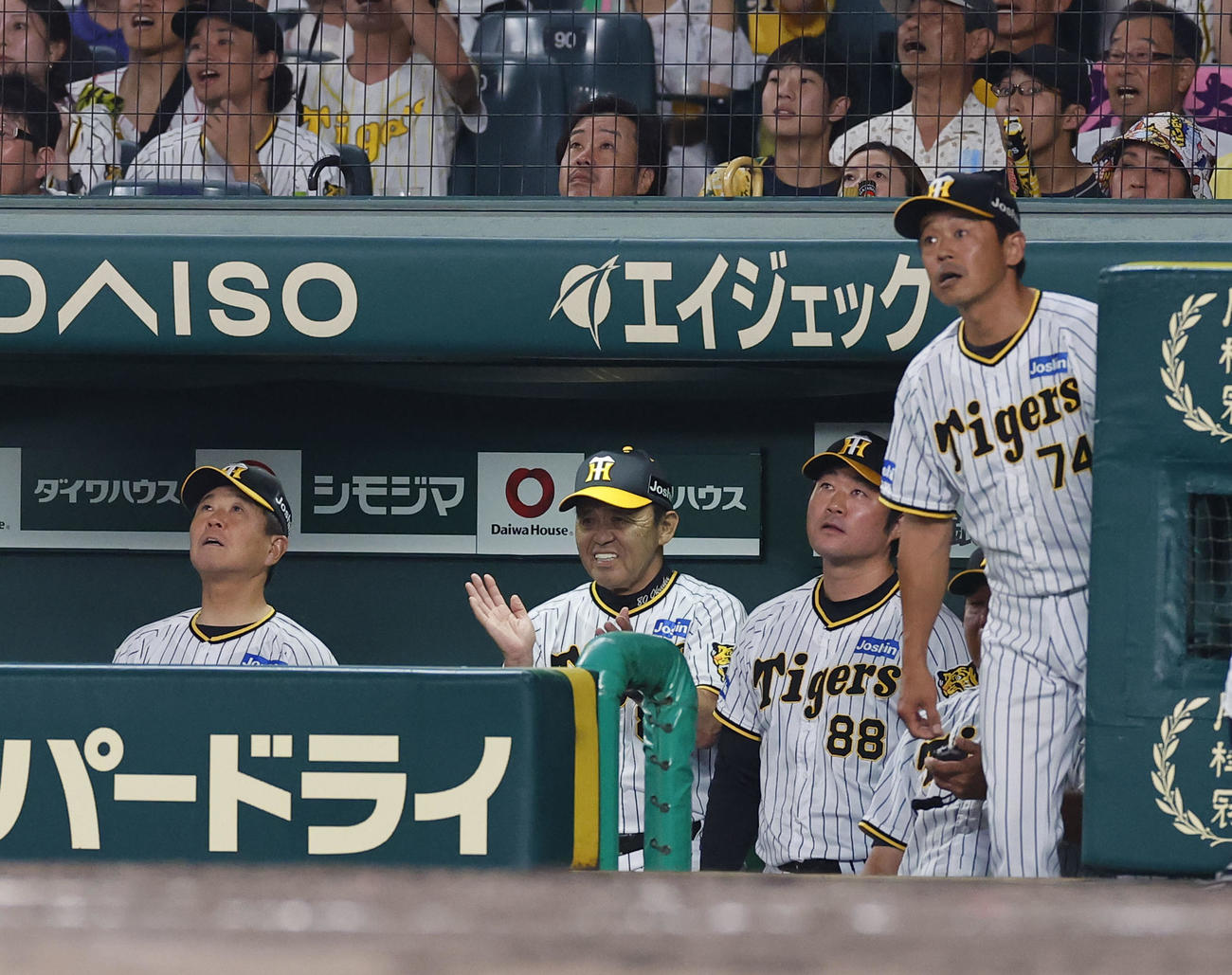 阪神対ヤクルト　9回表ヤクルト2死一塁、岡田監督（左から2人目）は川端が飛球を打ち上げ勝利を確信し手をたたく（撮影・藤尾明華）
