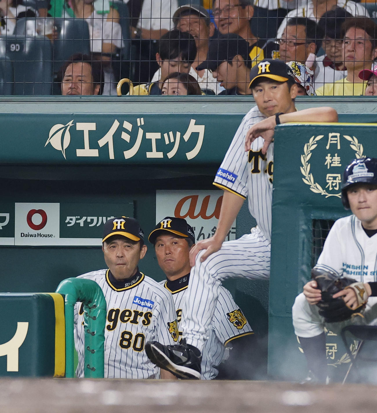 阪神対ヤクルト　7回裏、ベンチで厳しい表情を見せる阪神岡田監督（左）（撮影・藤尾明華）