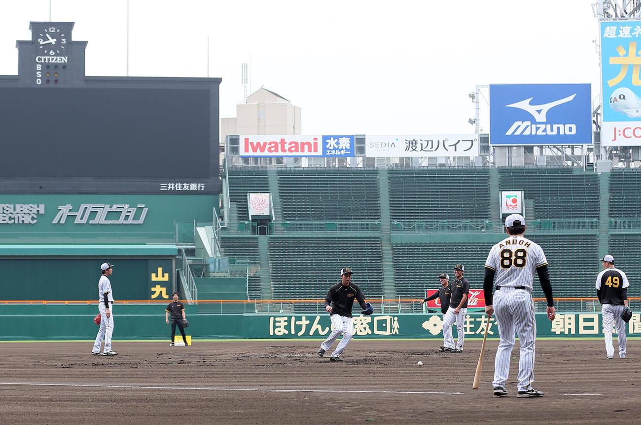 投手指名練習で汗を流す阪神投手陣（撮影・上山淳一）