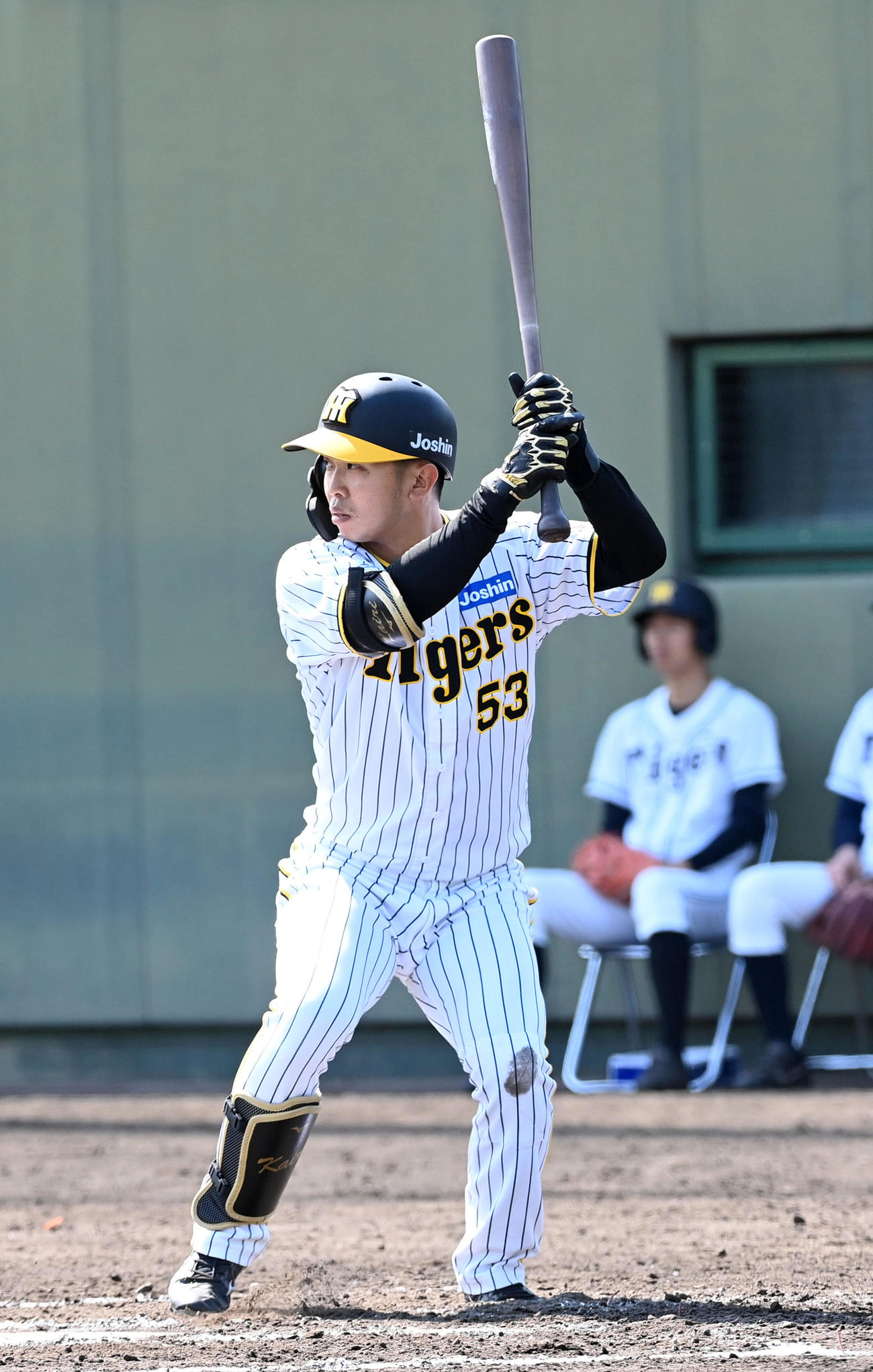 阪神島田海吏の打撃フォーム（2023年5月12日撮影）