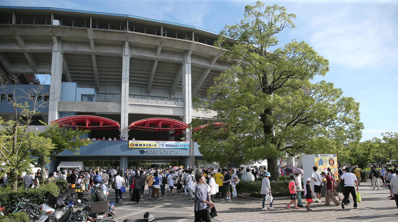 阪神対DeNA　多くのファンが訪れる倉敷マスカットスタジアム（撮影・上山淳一）