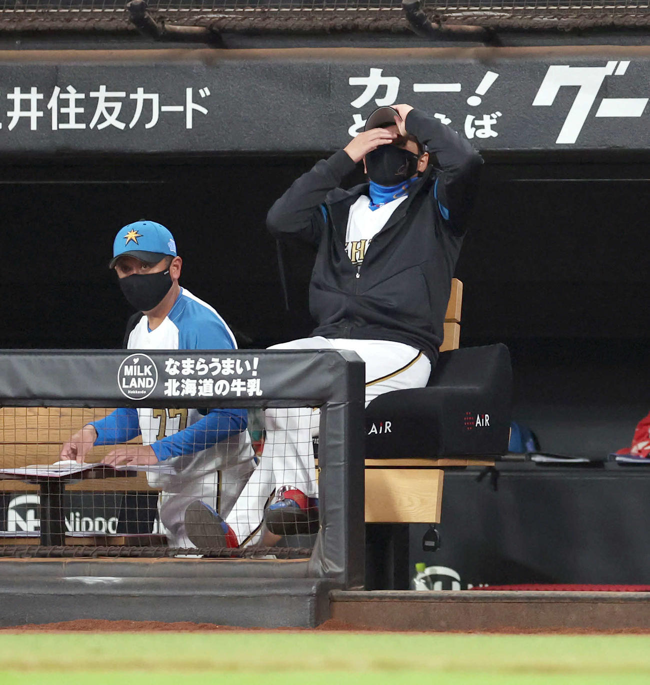 日本ハム対楽天　ベンチで頭をかく日本ハム新庄監督（撮影・佐藤翔太）