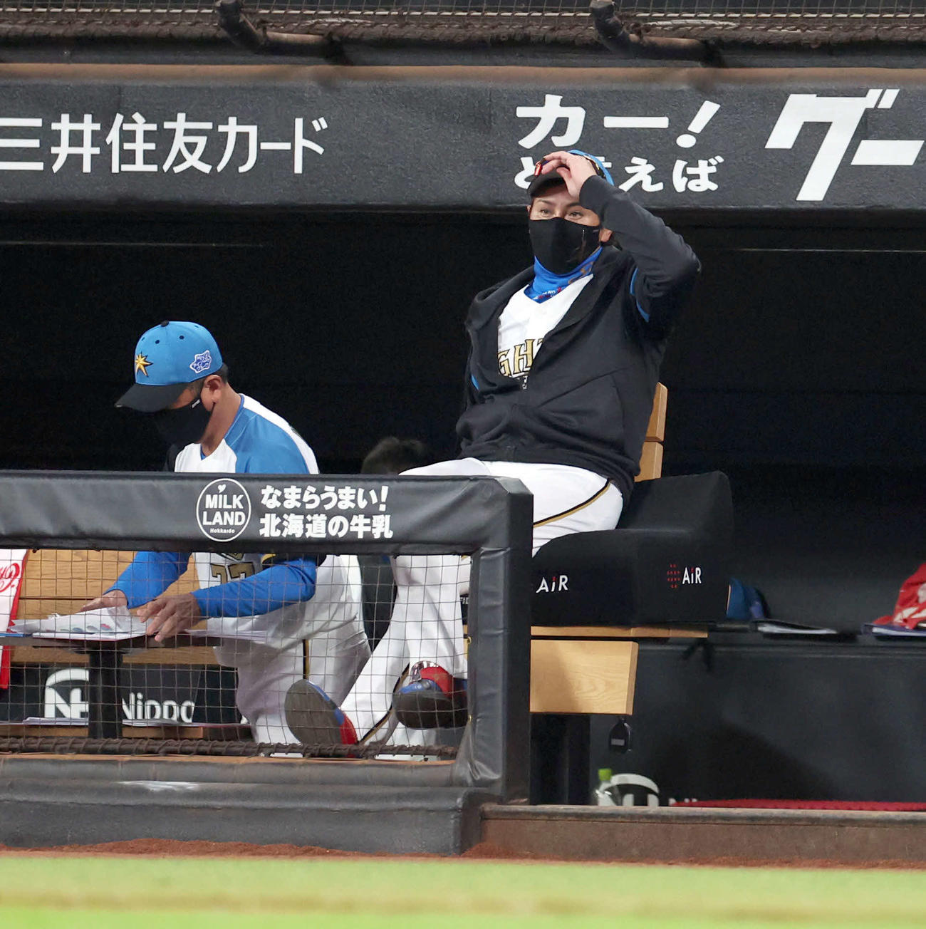 日本ハム対楽天　ベンチからグラウンドを見つめる日本ハム新庄監督（撮影・佐藤翔太）