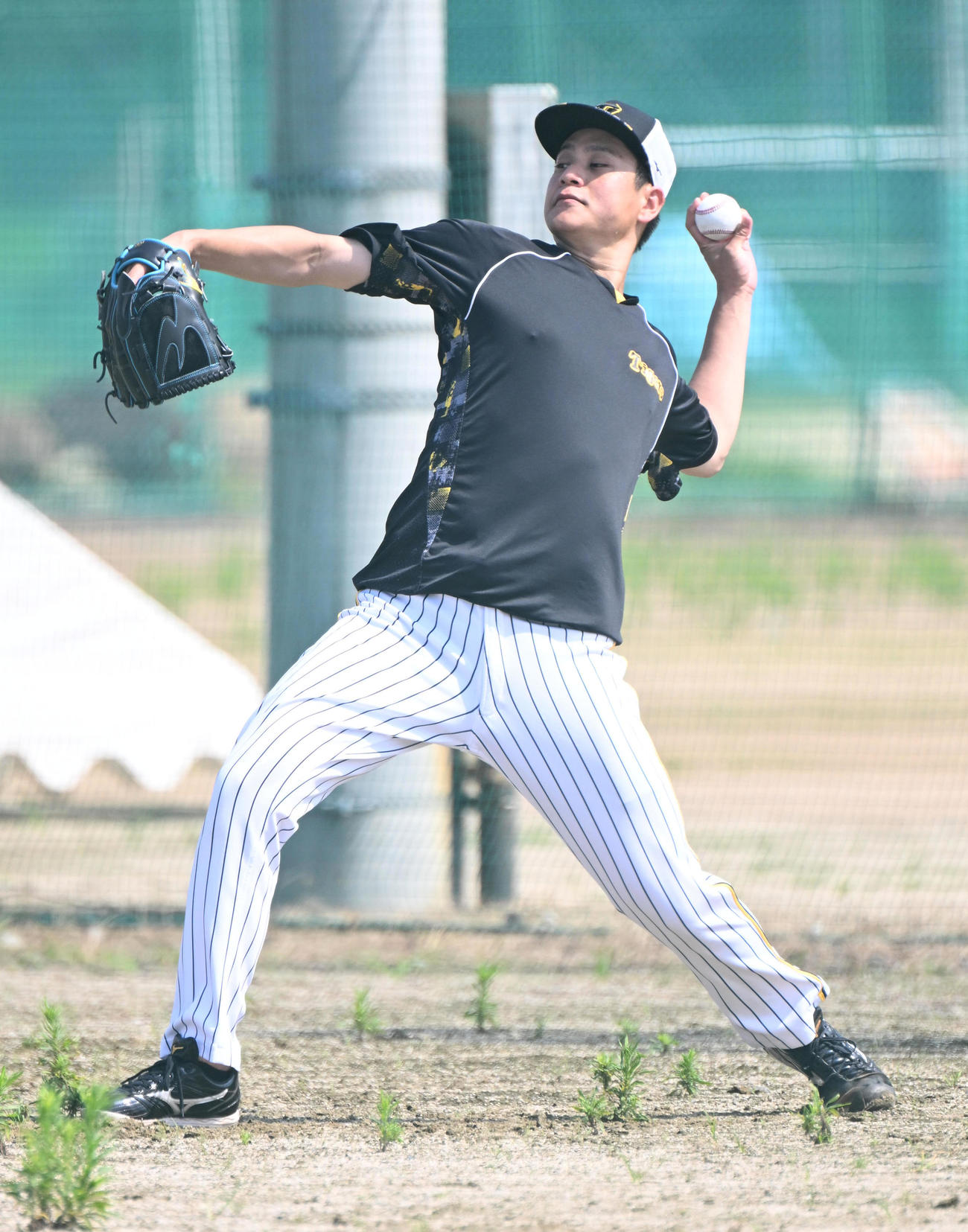 キャッチボールをする阪神大竹（撮影・石井愛子）