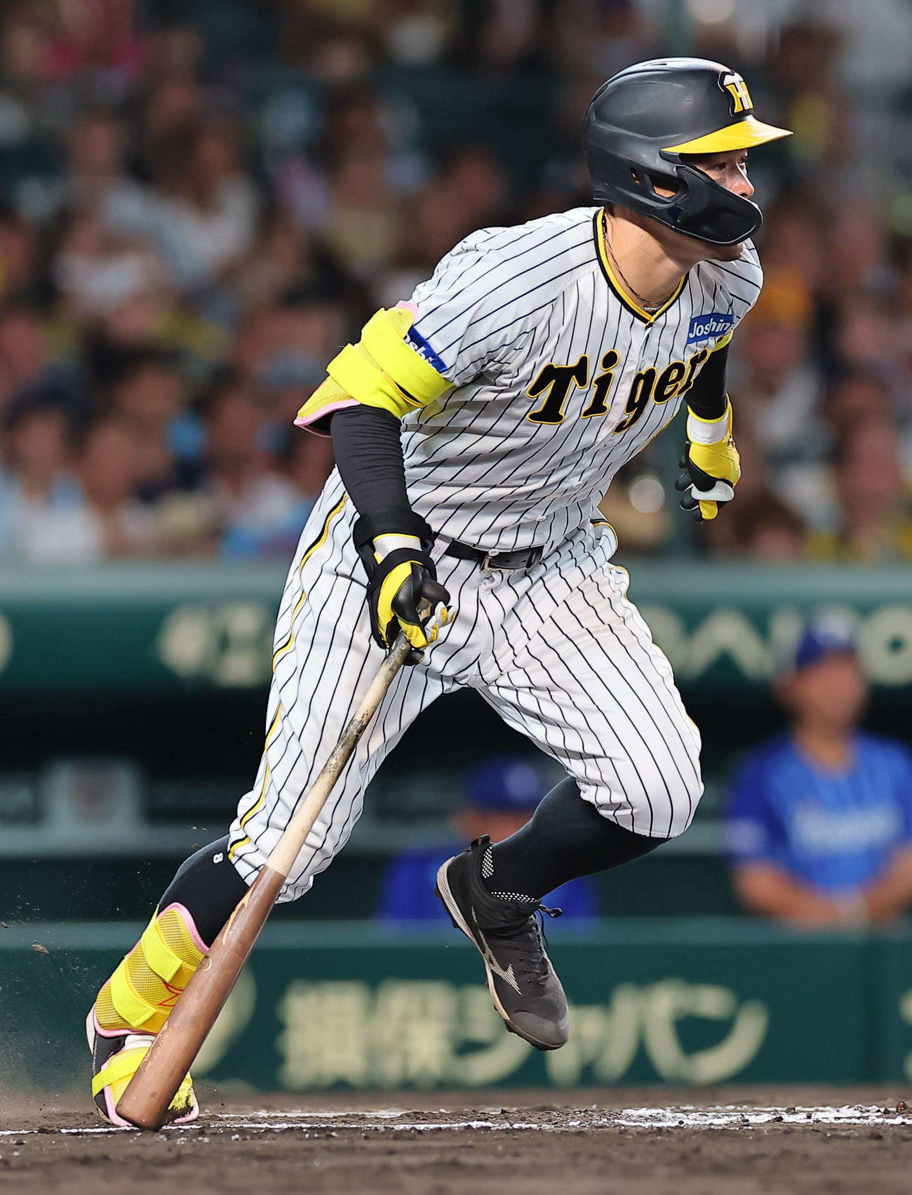 阪神対DeNA 6回裏阪神2死、佐藤輝は投ゴロに倒れる（撮影・上田博志）