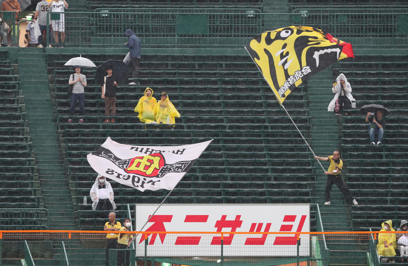 阪神対DeNA　降雨の中で旗を振る阪神応援団（撮影・白石智彦）
