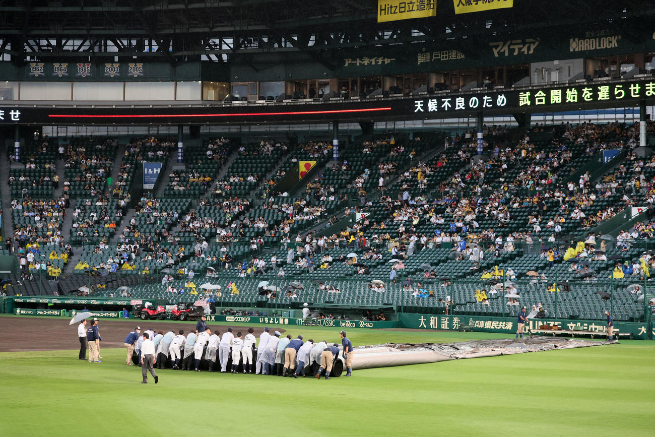 阪神対DeNA　午後5時50分頃からグラウンドにかけられていたシートを撤収する阪神園芸の職員たち（撮影・加藤哉）